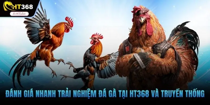 Đánh giá nhanh trải nghiệm đá gà tại HT368 và truyền thống