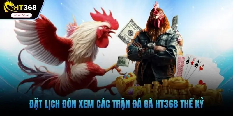 Đặt lịch đón xem các trận đá gà HT368 thế kỷ