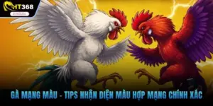 Gà mạng màu