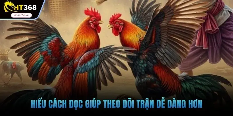 Hiểu cách đọc giúp theo dõi trận dễ dàng hơn