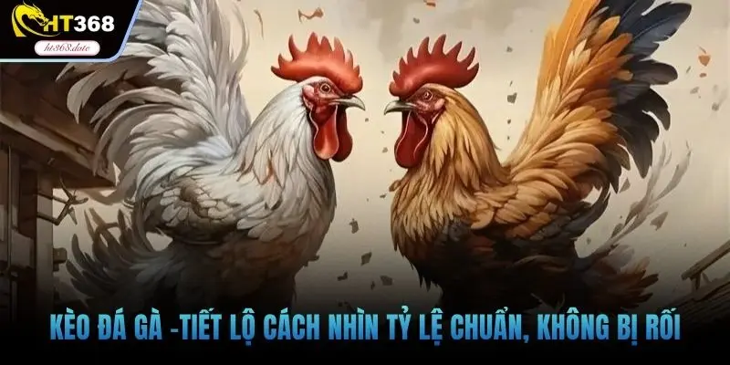 Kèo đá gà