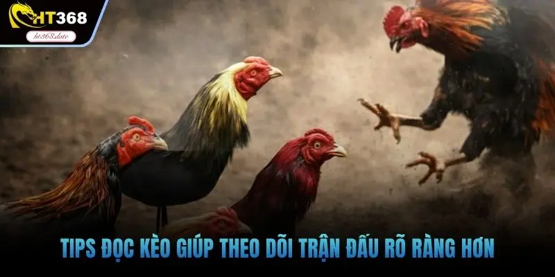 Tips đọc kèo giúp theo dõi trận đấu rõ ràng hơn