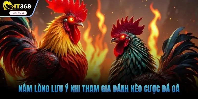 Nằm lòng lưu ý khi tham gia đánh kèo cược đá gà