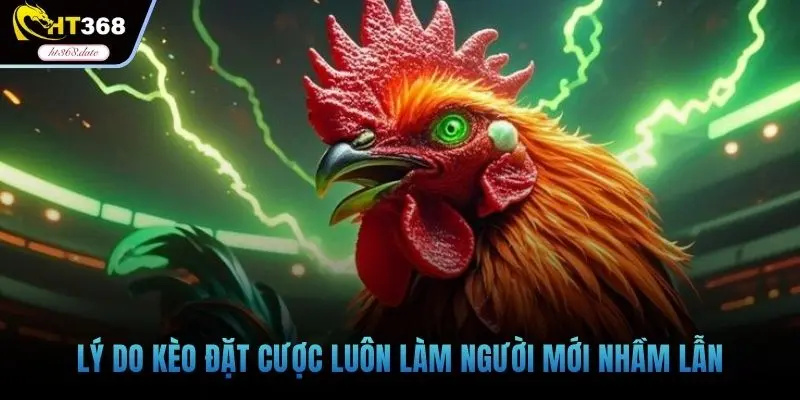 Lý do kèo đặt cược luôn làm người mới nhầm lẫn