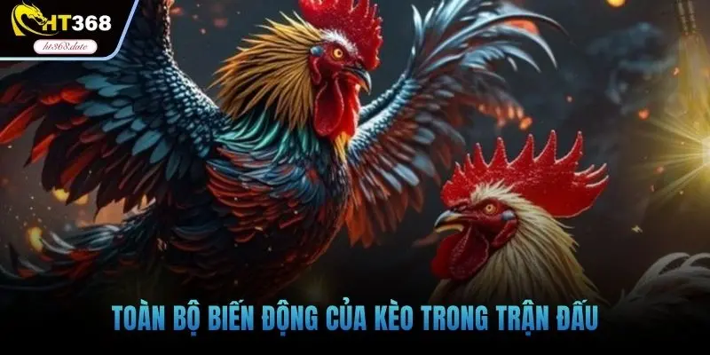Toàn bộ biến động của kèo trong trận đấu