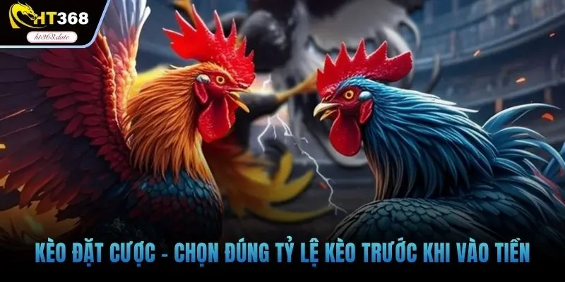 Kèo đặt cược