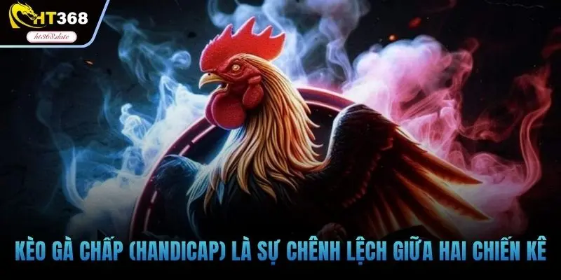 Kèo gà chấp (Handicap) là sự chênh lệch giữa hai chiến kê