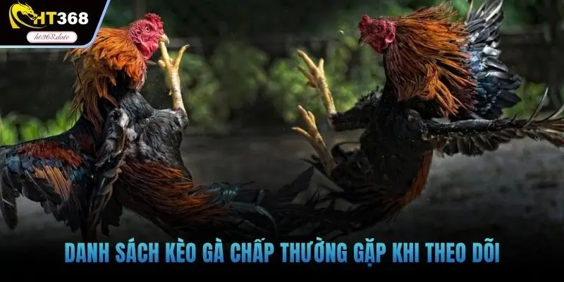 Danh sách kèo gà chấp thường gặp khi theo dõi