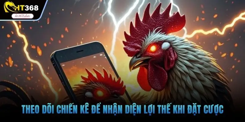 Theo dõi chiến kê để nhận diện lợi thế khi đặt cược