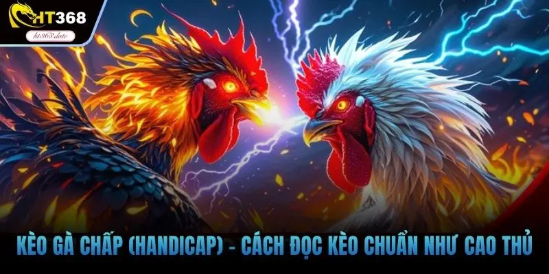 Kèo gà chấp (Handicap)