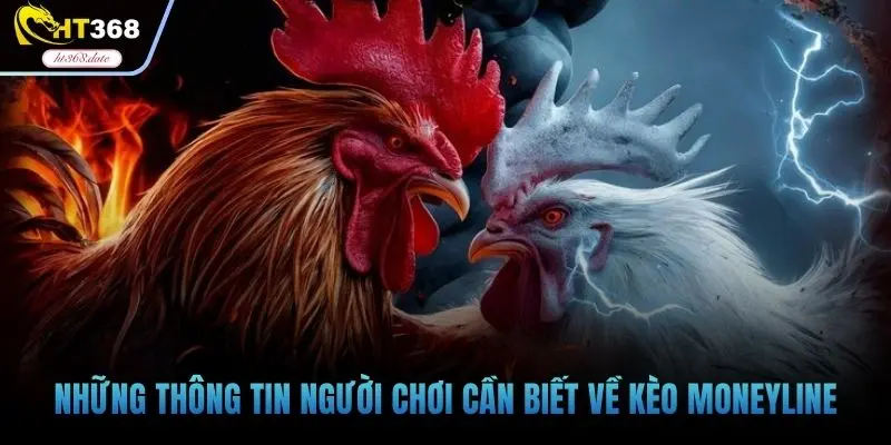 Những thông tin người chơi cần biết về kèo Moneyline