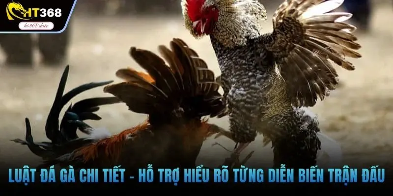 Luật đá gà