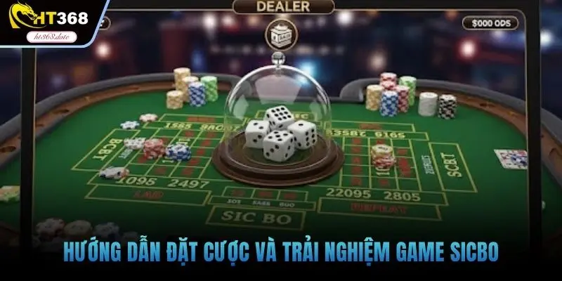 Hướng dẫn đặt cược và trải nghiệm game sicbo